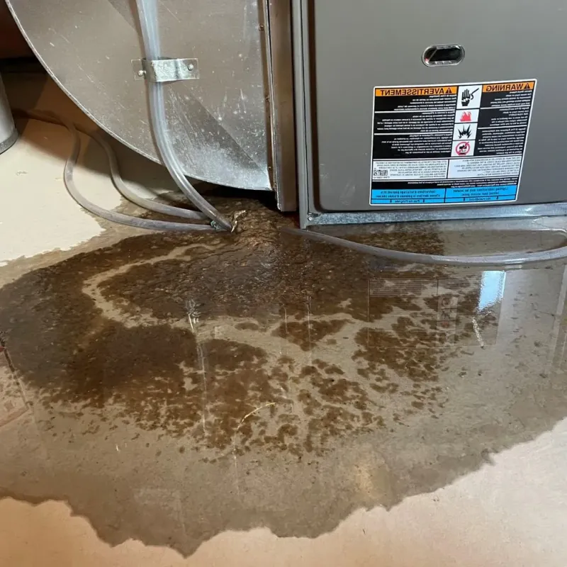 Pipe Burst and Leak Restoration in Glade Spring, VA