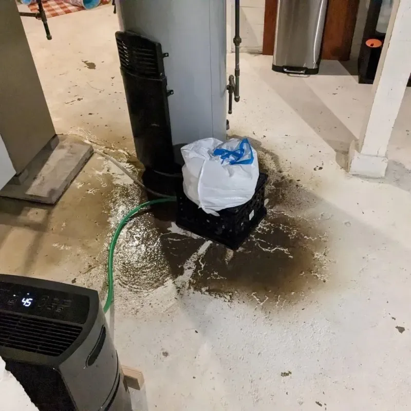 Sewage Backup Cleanup Service in Glade Spring, VA